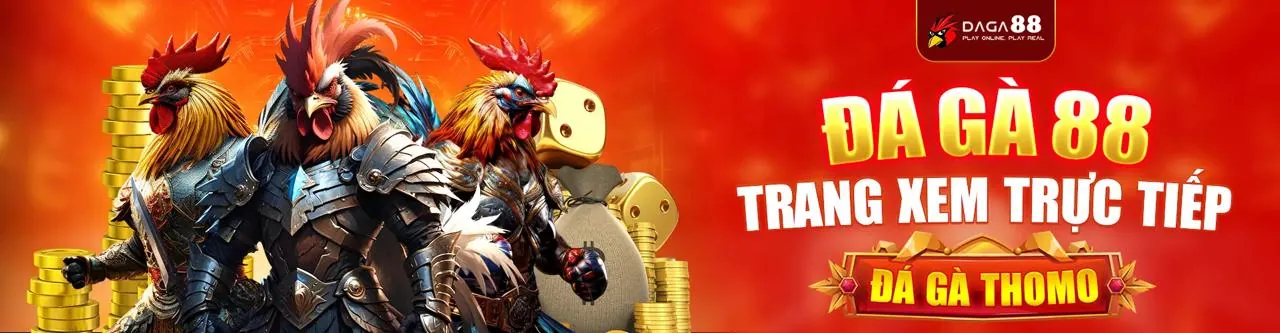 Sân đá gà kịch tính với 79king3 code