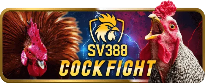 Trò chơi slot và nổ hũ tại 79king3