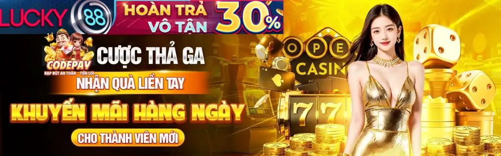 Điều khoản và điều kiện chung của các khuyến mãi